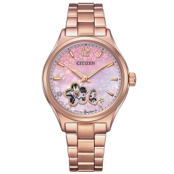 PC1017-61Y