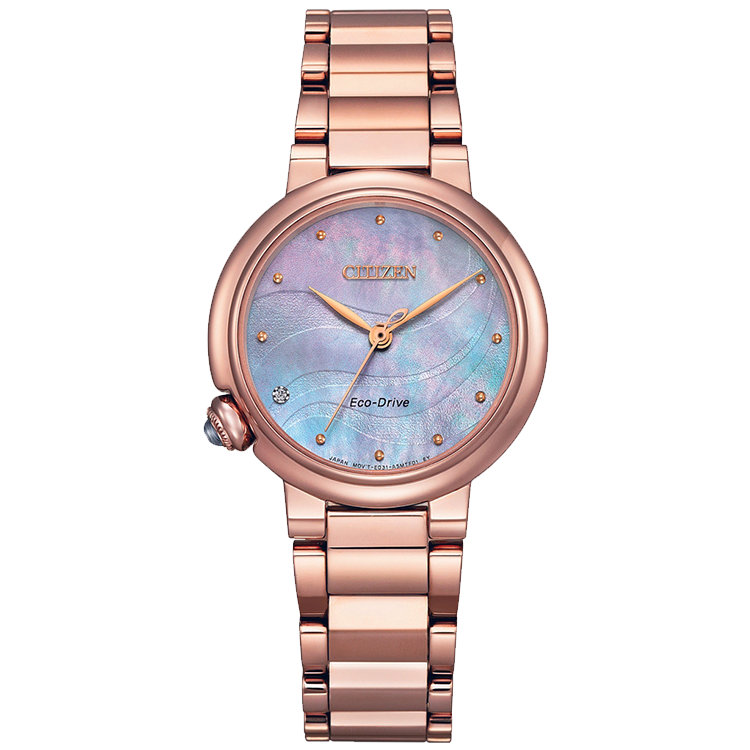EM0917-81Y