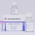 人T细胞活化扩增培养试剂盒