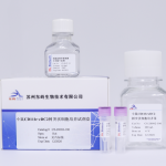 小鼠CD11b+cDC2树突状细胞培养试剂盒