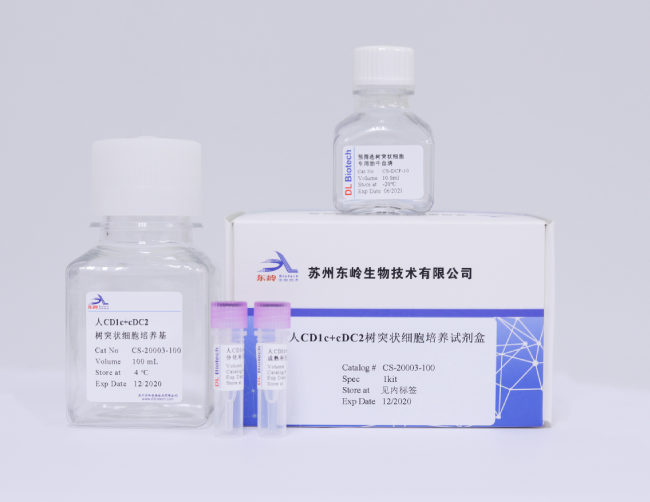 人CD1c+cDC2树突状细胞培养试剂盒