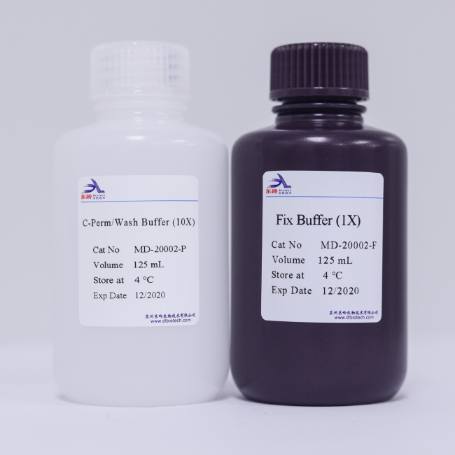 C-Perm Wash Buffer (10X)-Fix Buffer(1X)