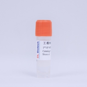工程-初级