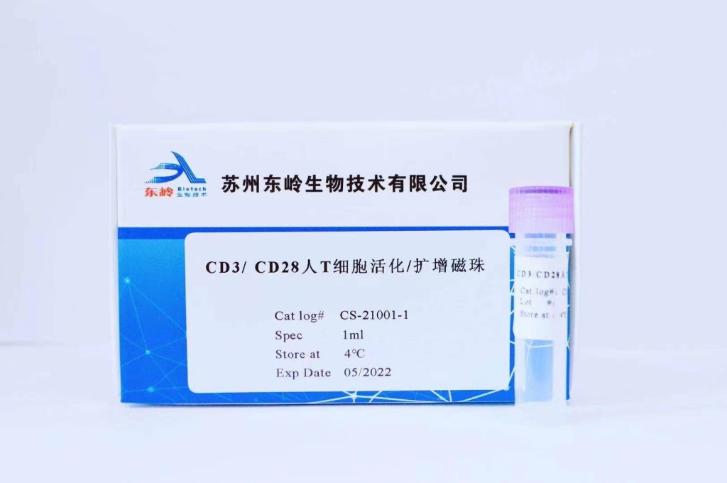 CD3/CD28人T细胞活化/扩增磁珠