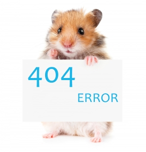 404