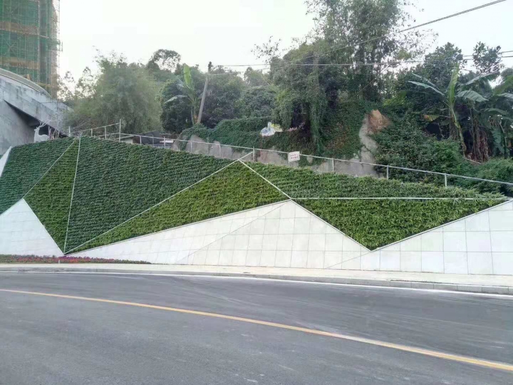 755179023896083873