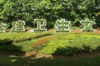 融創(chuàng)植物字
