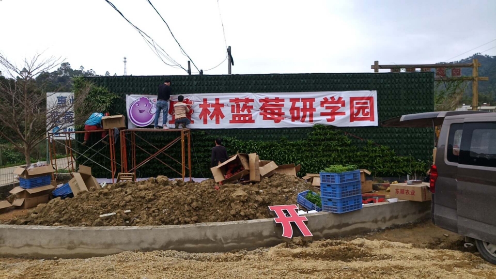 80972adcd63e4d13a1a08b4e28d8ffd