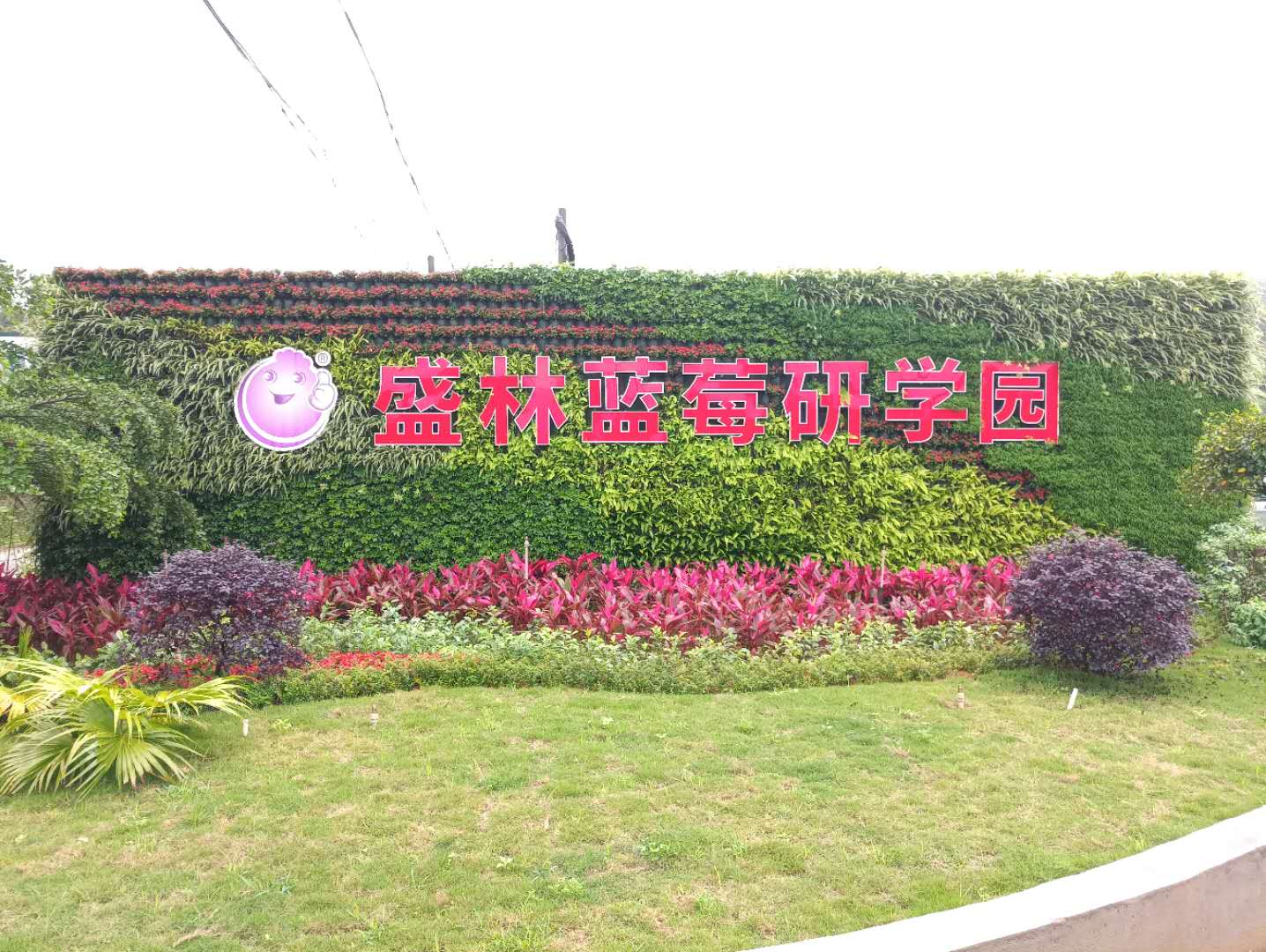 872cba48d3278d16077e9f1050b548e