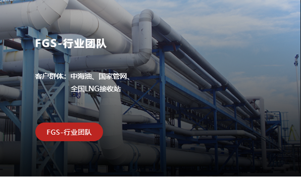 FGS行业团队