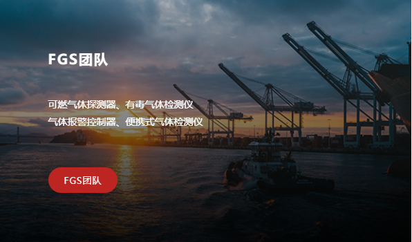 FGS团队2
