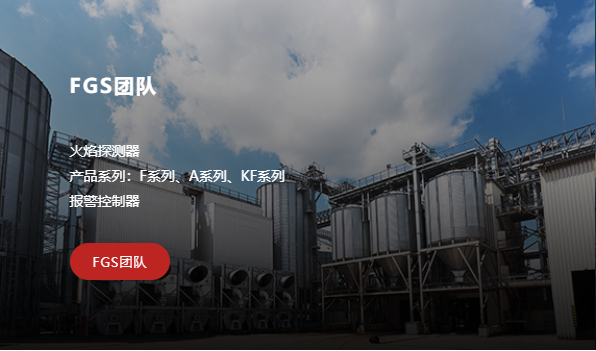 FGS团队
