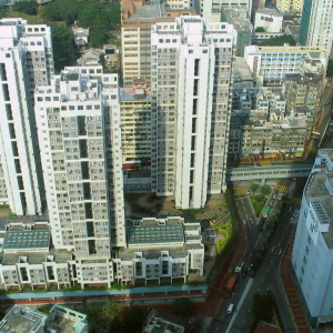 bo shek dai ha