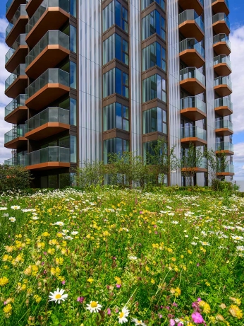royal-arsenal-riverside_compass-wharf_exterior1