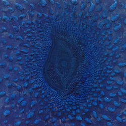 赵燕峰, 蕊拉丝钉主体.沙漠钉玫4号,120×100cm,2013
