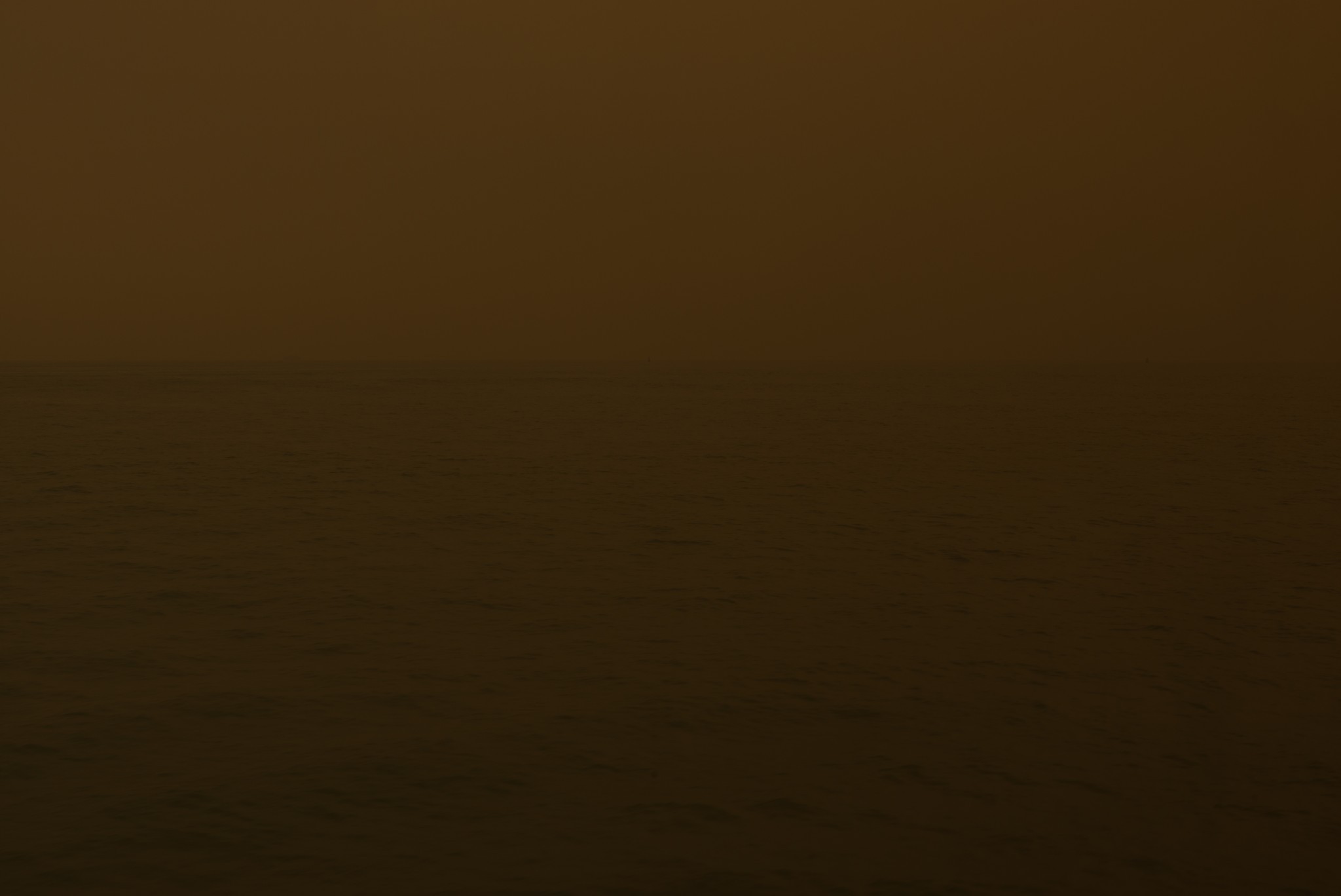 L1006156
