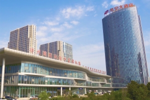 29 鄭州新鄭國際機場民航大酒店工程及異地城市候機樓項目