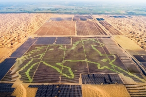 3 達拉特光伏發電應用領跑基地項目