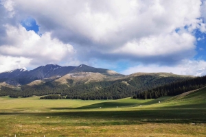 65-呼和浩特市清水河縣2020年度草原生態修復治理項目