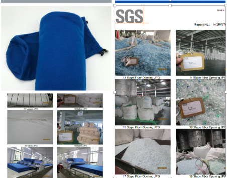 SGS Witness