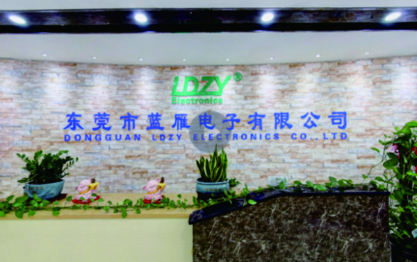 11. 藍(lán)雁電子