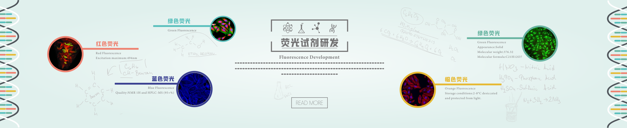 首页-荧光试剂banner