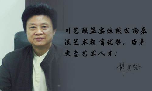 胡其征教授