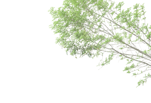 53e6986d86b0f3cd525a7b5fc64851ab