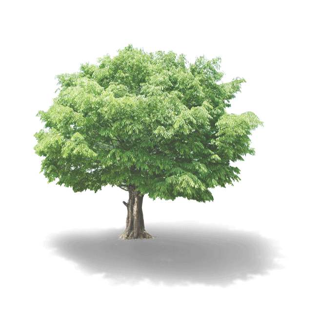 bfdc7aa87443f70a2fcb7dba558928a8489f4c1525c54c-PwYocW_fw658