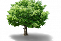 bfdc7aa87443f70a2fcb7dba558928a8489f4c1525c54c-PwYocW_fw658