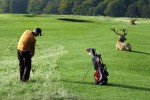 丹麦-哥本哈根Kobenhavn Golf
