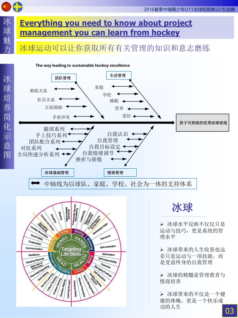 瑞典冰球 (2)