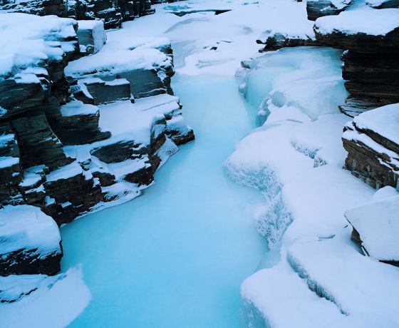 阿比斯库国家公园 Abisko nationalpark (9)