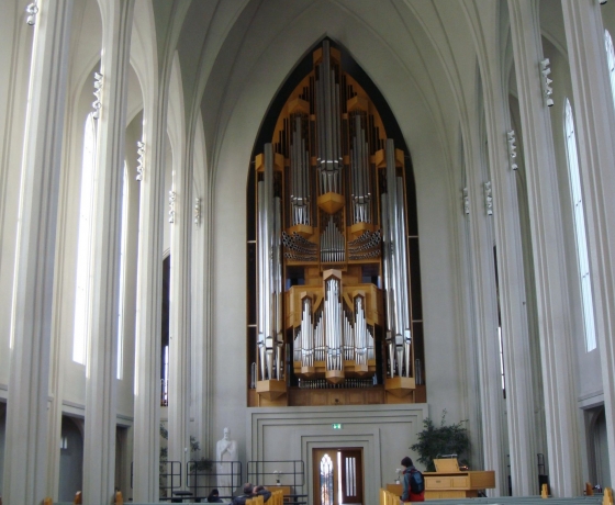 哈尔格林姆斯大教堂    Hallgrímskirkja (7)