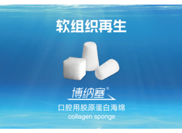 a2b9a7c62c6ab3552067d41b103d4bb4