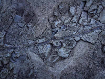 5cc04fb89172ce002360b799_optimized_1920