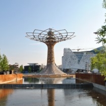 Picture5
