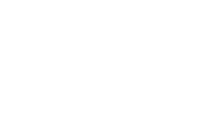 ZJJZ+++++400