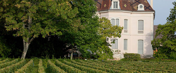 comtes_lafon