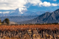 chile-aconcagua-best-wine-scaled