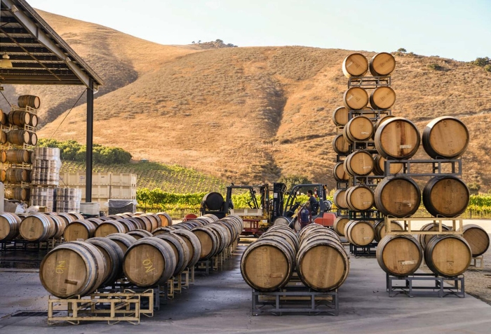 winery-production-are-shot-ver3-Fran-Collin-print