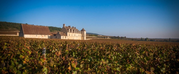 cote-de-beaune-11