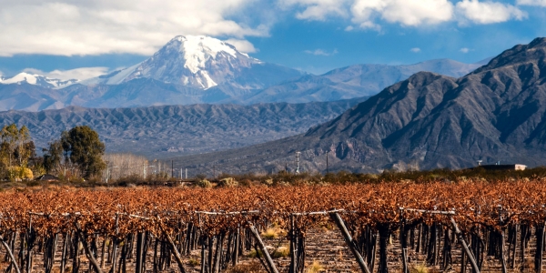 chile-aconcagua-best-wine-scaled