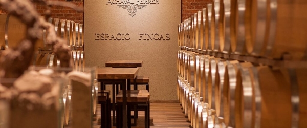 Achaval_Ferrer-e1626385543114-1024x686