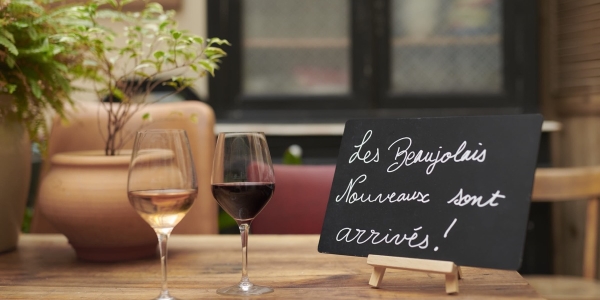 dsc_0481-taille1200_5fb3b0ca2ea7f