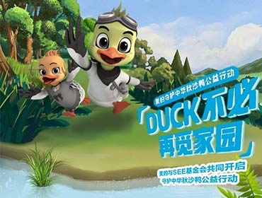 美的秋沙鴨