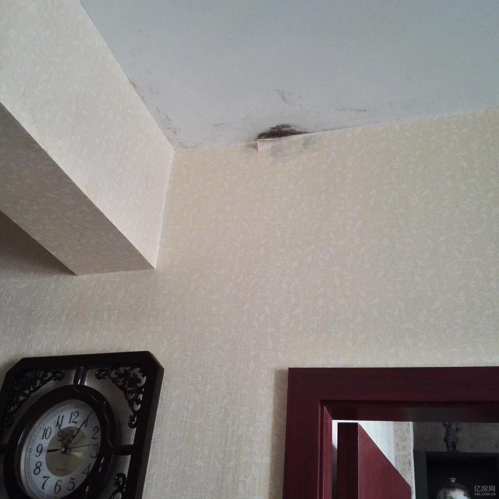 IMG_20160512_110521.jpg