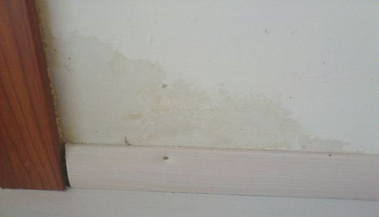 卫生间外墙角漏水02 卫生间外墙角漏水02