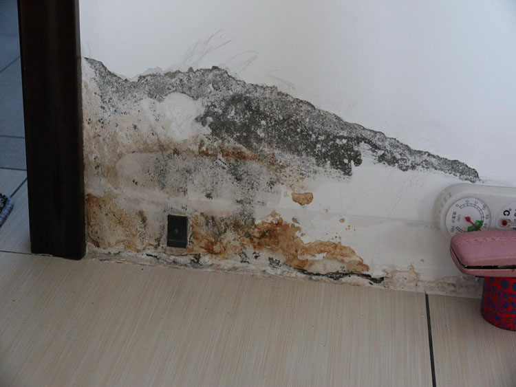 卫生间往隔壁卧室渗水01 卫生间往隔壁卧室渗水01
