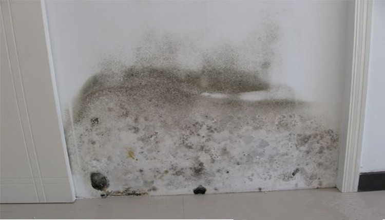 卫生间门口漏水01 卫生间门口漏水01